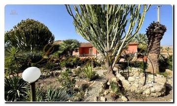 Thumbnail von Immogold Sud-Sicile SGS 26039 Découvrez la beauté tranquille de la Sicile ; propriété de rêve avec jardins méditerranéens et vaste terrain