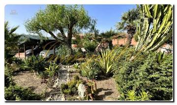 Thumbnail von Immogold Sud-Sicile SGS 26039 Découvrez la beauté tranquille de la Sicile ; propriété de rêve avec jardins méditerranéens et vaste terrain