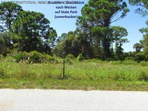 Thumbnail von ***フロリダ：ドイツのET WSGから直接 - 既に伐採された新築地の土地***