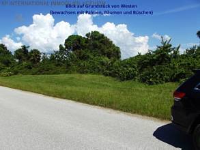 Thumbnail von ***フロリダ：ドイツのET WSGから直接 - 既に伐採された新築地の土地***