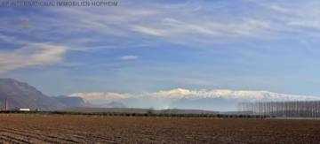 Thumbnail von ***Wünderschöne Finca in Pinos Puente***