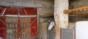 Thumbnail von ***Wünderschöne Finca in Pinos Puente***