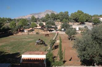 Thumbnail von ***Stilvolles Landhaus mit Pferdezucht***