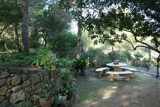 Thumbnail von ***Stilvolles Landhaus mit Pferdezucht***