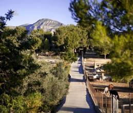 Thumbnail von ***Stilvolles Landhaus mit Pferdezucht***