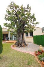 Thumbnail von ***Bei Denia - Sehr gepflegte Villa mit Gemeinschaftspool, top gepflegter Zustand, großes Grundstück, Carport etc.***