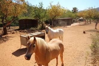 Thumbnail von ***Luxuriöses Fincaanwesen mit Reitplatz und Pferdestallungen in traumhafter Naturlage***