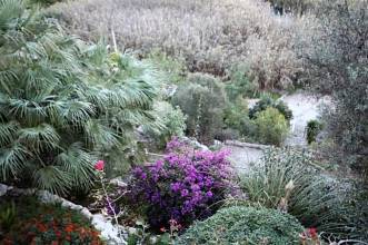 Thumbnail von ***Schöne Villa am Riu Bullent***