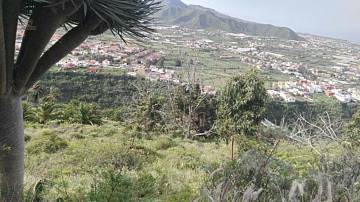 Thumbnail von Agrarland auf Teneriffa