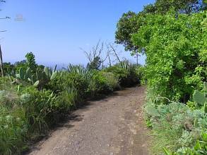 Thumbnail von Agrarland auf Teneriffa