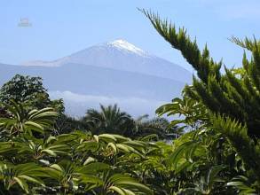 Thumbnail von Agrarland auf Teneriffa