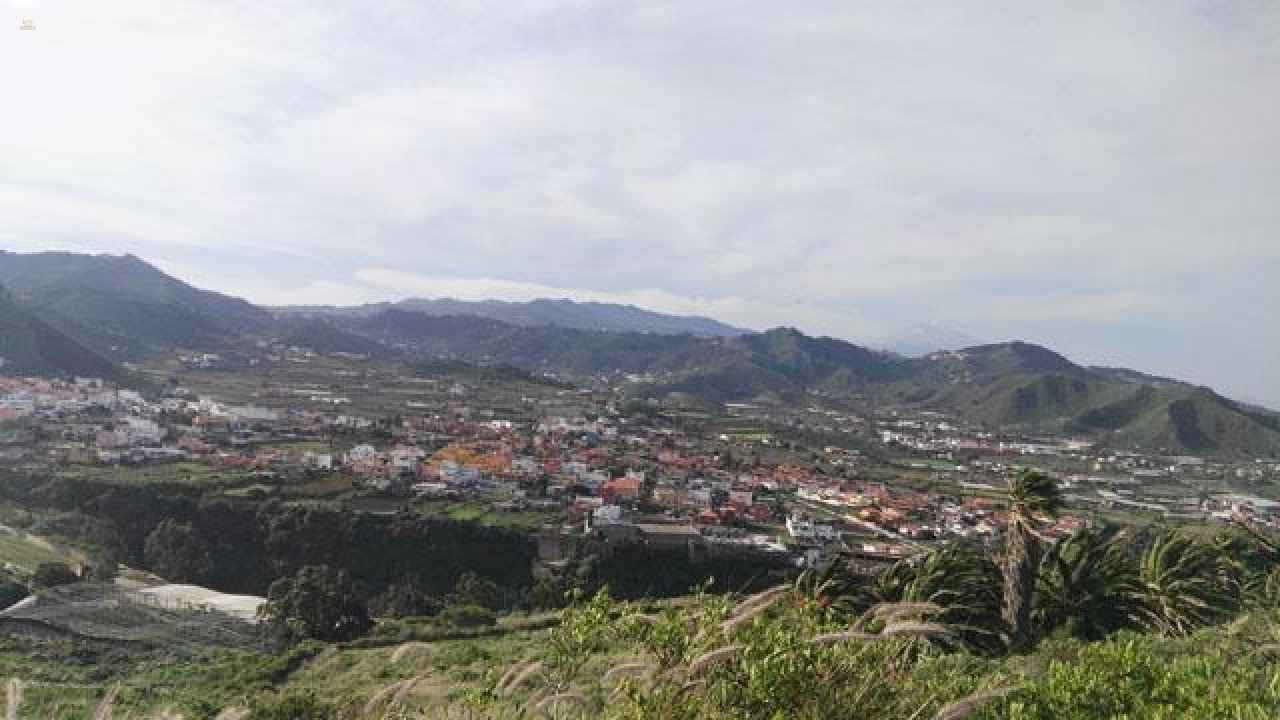 Agrarland auf Teneriffa