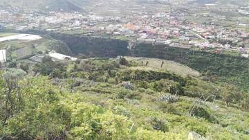 Thumbnail von Agrarland auf Teneriffa