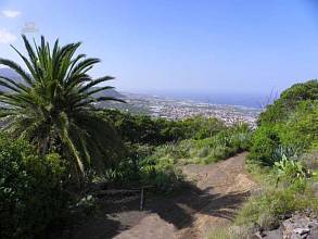 Thumbnail von Agrarland auf Teneriffa