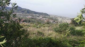 Thumbnail von Agrarland auf Teneriffa