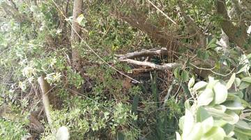 Thumbnail von Agrarland auf Teneriffa