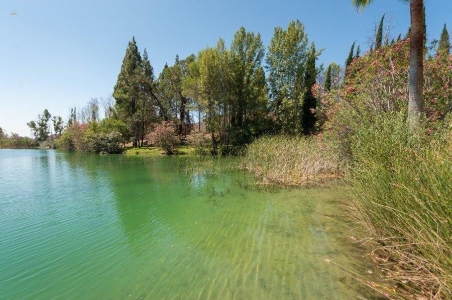 Luxus-Villa in Alhaurin El Grande R2805065