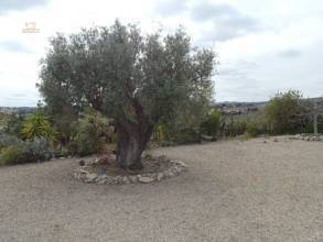 Thumbnail von ***Wunderschöne Landhaus-Villa Nähe Alicante***