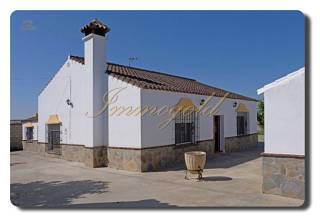 Thumbnail von Immogold Finca, Landhaus mit ca. 60.000 m² Land, nahe Arcos de la Frontera (Junta de los Rios)