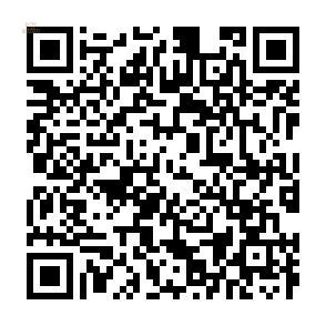 Thumbnail von ***VILLA IN CAMOJAN - MARBELLA***