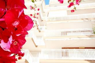 Thumbnail von ***Hochwertig renovierte Wohnung am Meer mit 3 Schlafzimmern und 2 Bädern***