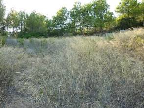 Thumbnail von ***Baugrundstück Marcolina mit frontalem Meerblick***