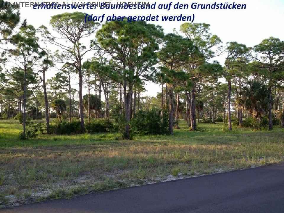 ***FLORIDA: Zalesněný stavební pozemek v blízkosti pláže - přímo od ET***