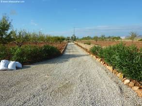 Thumbnail von ***Prachtvolles Landhaus nahe Strand mit parkähnlichem Garten und Driving Range***