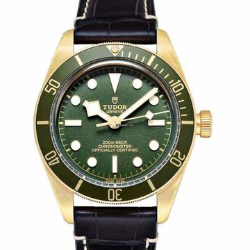  Tudor Black Bay 79018V-0001 - Heritage Black Bay Automatic Green Dial 18kt Yellow Gold Men's Watch </h1> 