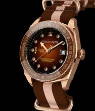 Thumbnail von Viribus Unitis L47 Bronze