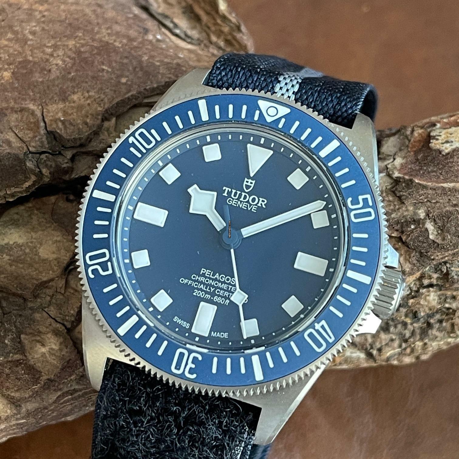 Tudor Pelagos Fxd </h1>
