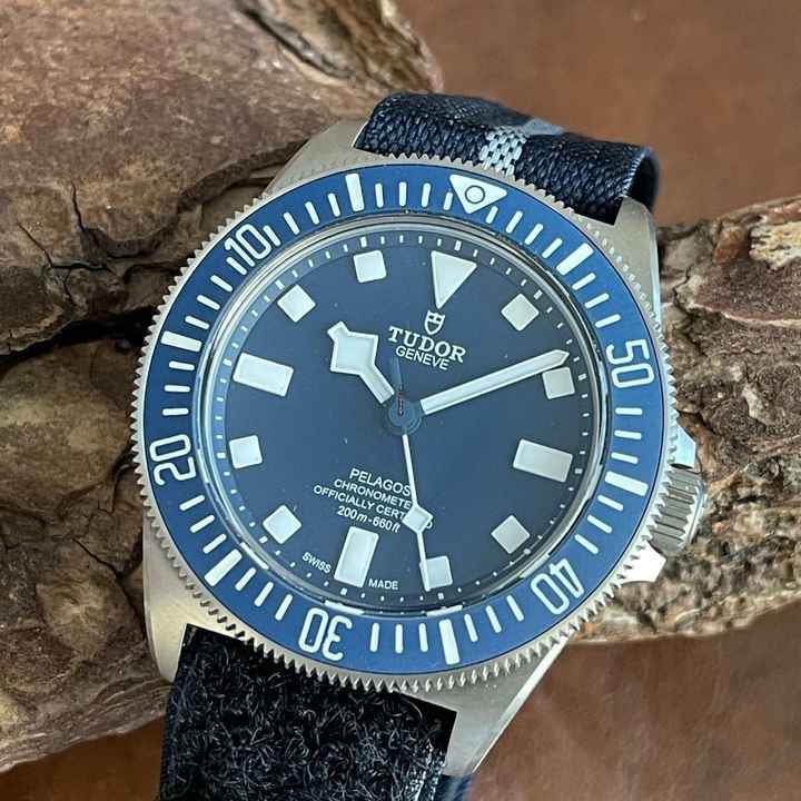  Tudor Pelagos Fxd </h1> 