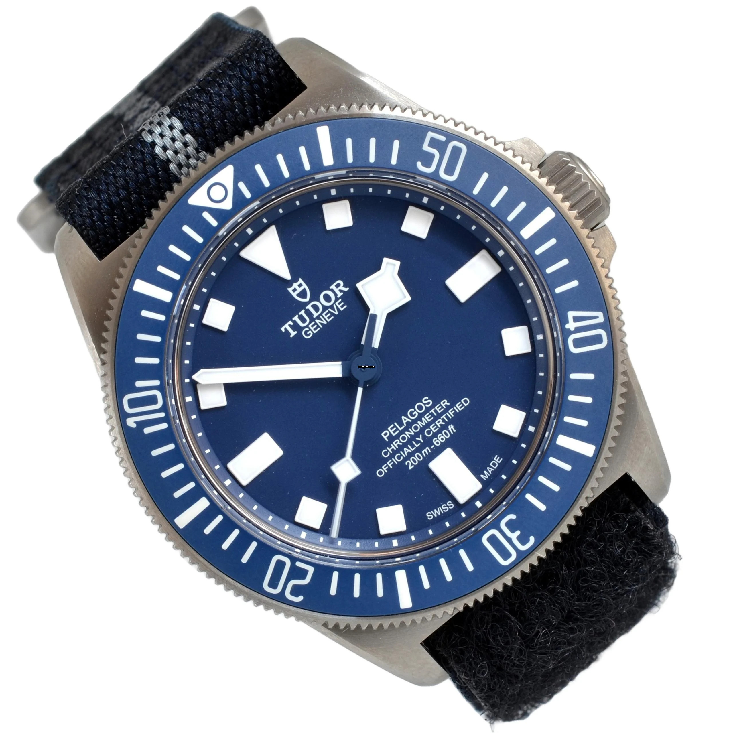 Tudor Pelagos Fxd </h1>