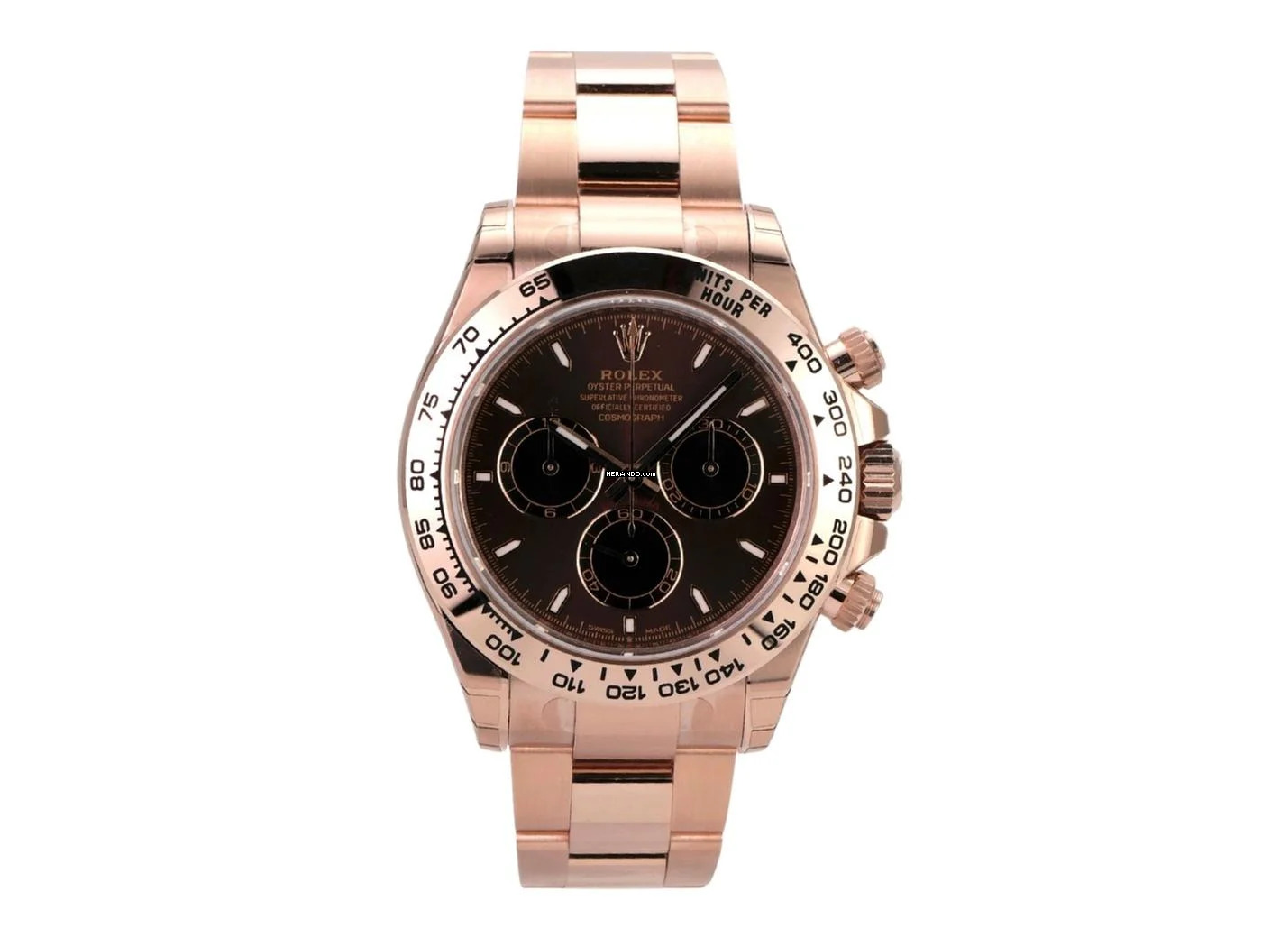  Rolex Daytona 126505 Everose-Gold Sundust Choco 