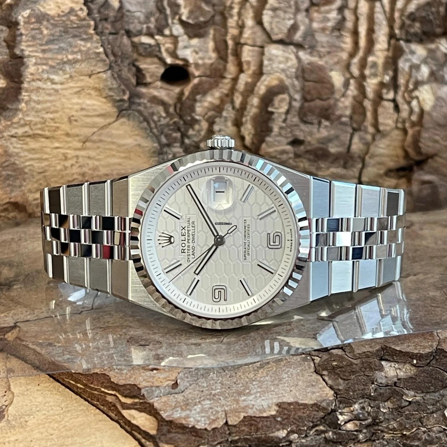 Rolex Land-Dweller Land-Dweller 40 - UNGETRAGEN - FULLSET 2025 - Ref. 127334 NEW MODEL