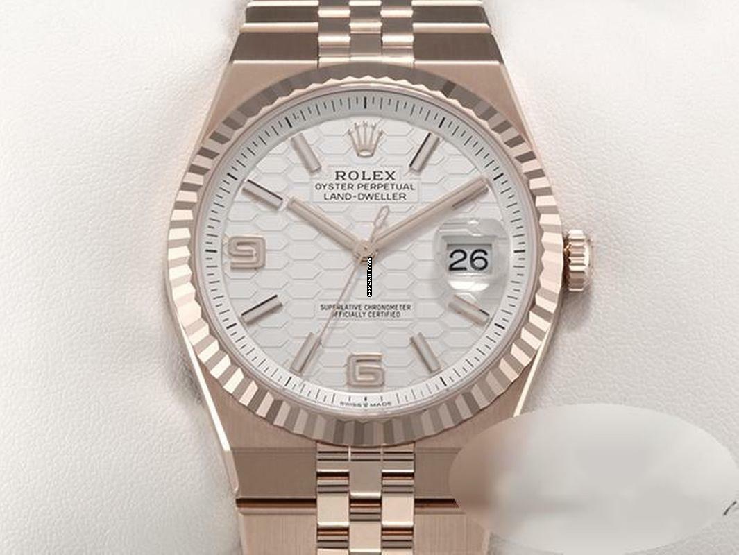 Rolex Land-Dweller 40mm 127335 2025 Rosegold 750 Automatik Gold