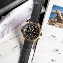 Thumbnail von IWC Aquatimer Chronograph Charles Darwin Charles Darwin Limited