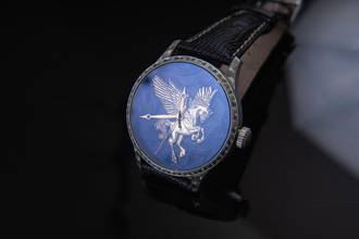 Thumbnail von Trenyo Pegassus Unique Piece