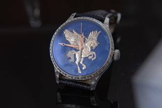 Thumbnail von Trenyo Pegassus Unique Piece