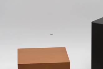 Thumbnail von Panerai Luminor Marina 1950 3 Days Automatic Titan Automatik Herrenuhr Ref. PAM00352 Box