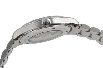 Thumbnail von Omega Seamaster Railmaster Aqua Terra Co-Axial Automatik 2502.52.00 B&P