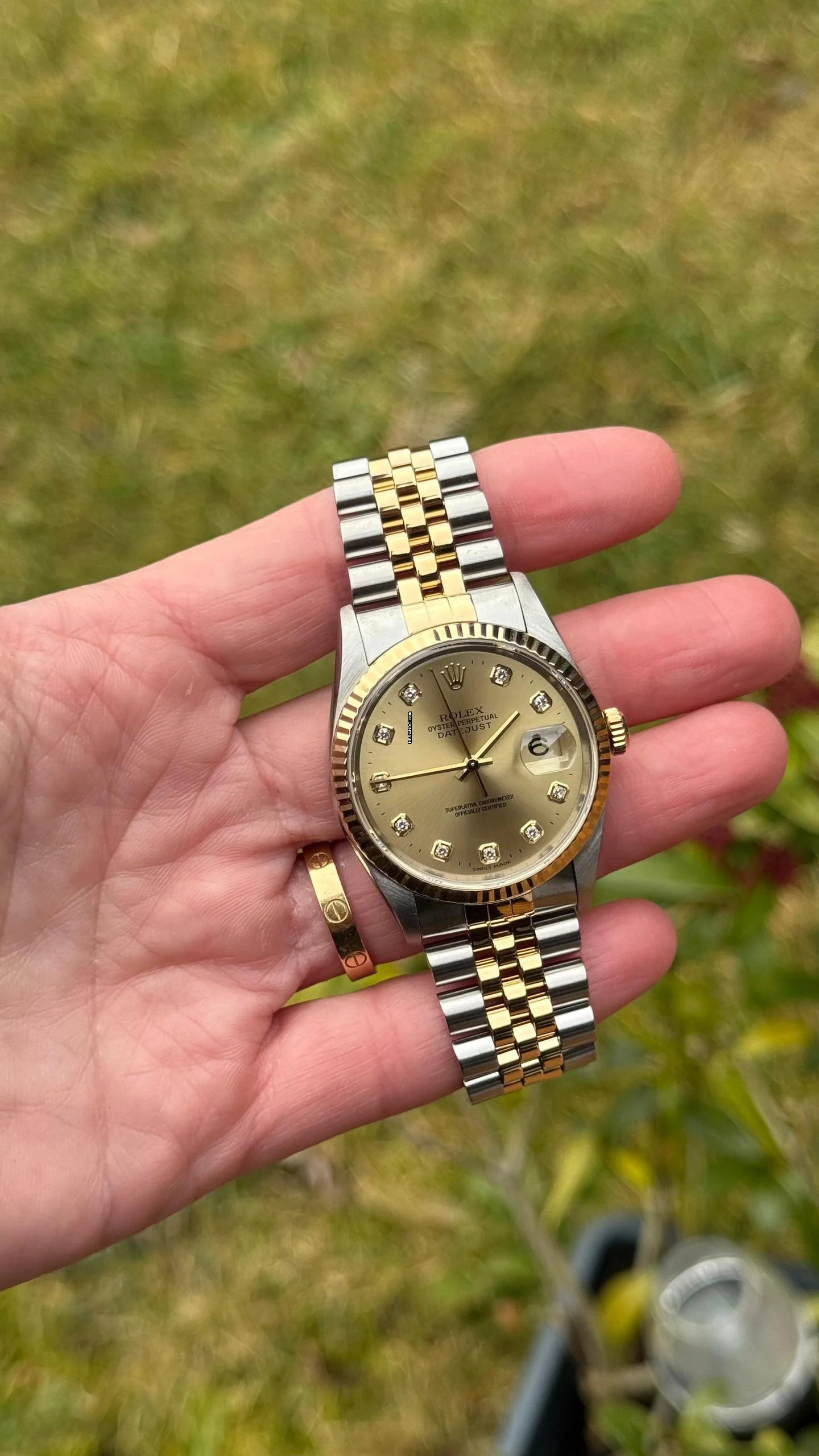 Thumbnail von Rolex Datejust 36 Big Diamond dial Top Condition