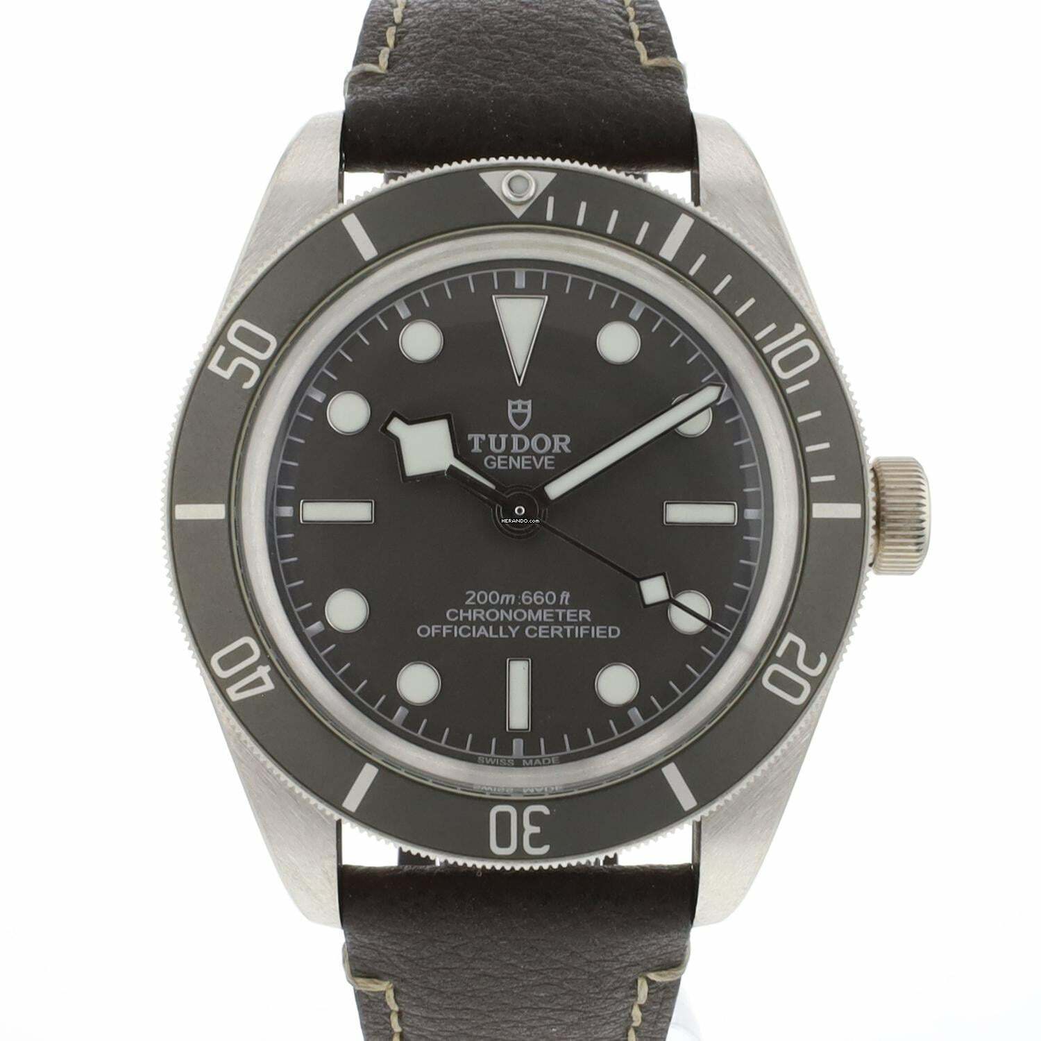  Tudor Black Bay 58 925 Silver 