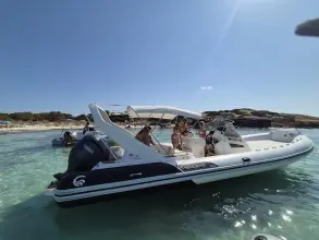 Thumbnail von Capelli Tempest 1000 CC