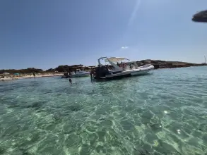 Thumbnail von Capelli Tempest 1000 CC