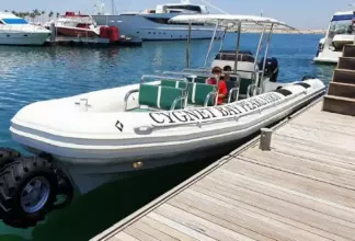 Thumbnail von Ocean Craft Marine 9.5 M Beachlander