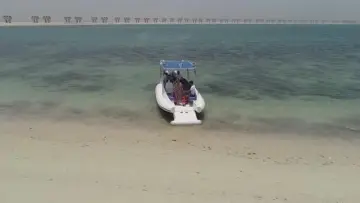 Thumbnail von Ocean Craft Marine 8.75M Beachlander