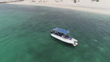 Thumbnail von Ocean Craft Marine 8.75M Beachlander