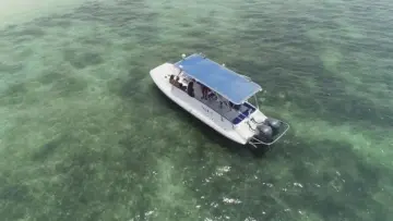 Thumbnail von Ocean Craft Marine 8.75M Beachlander