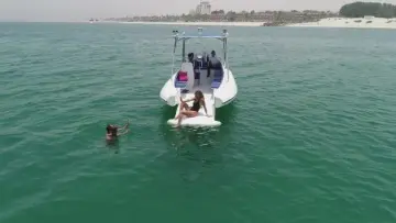 Thumbnail von Ocean Craft Marine 8.75M Beachlander